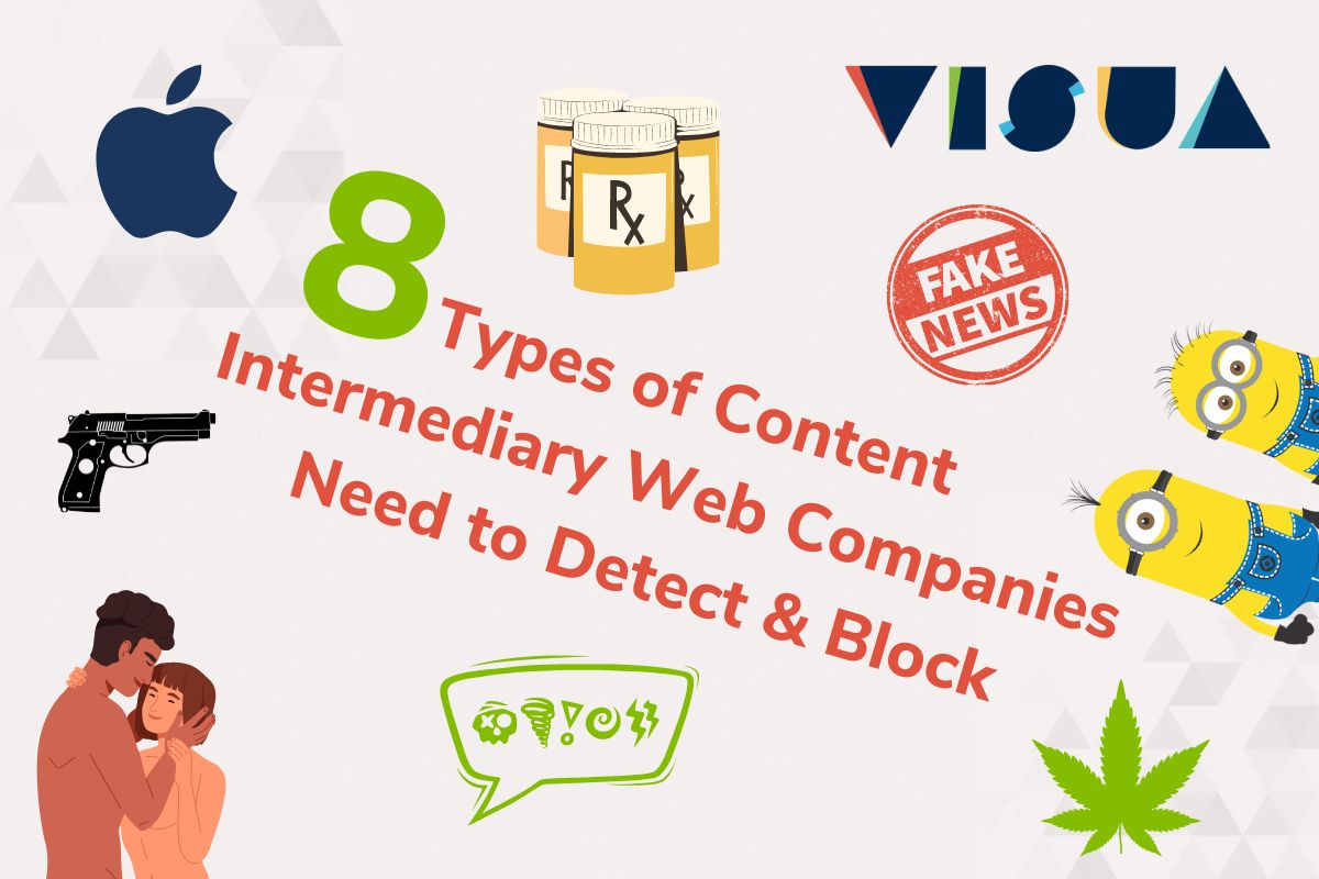 Eight Types of Content Intermediary Web Companies Need to Detect & Block to be Compliant with the European Digital Services Act