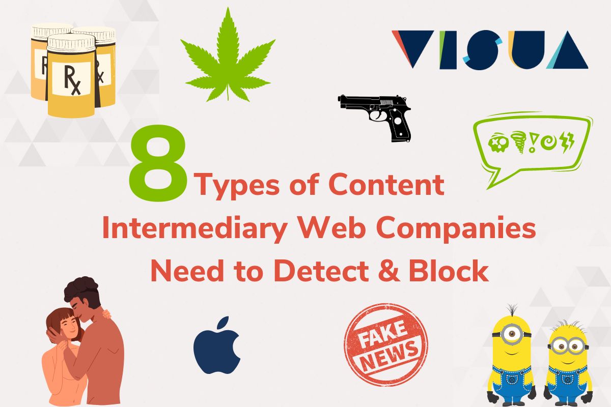 Infographic: 8 Types of Content Intermediary Web Companies Need to Detect & Block